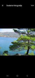 Apartman Alar