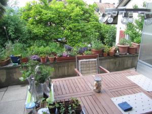 Guest room Zollikon Zürich