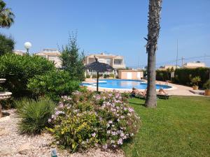 Solarium, pool & views in Playa Flamenca