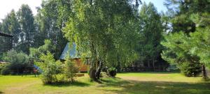 Sasino, domki Ptyś i Balbina