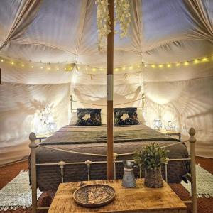 Campings Lotus Belle Tipi at Le Ranch Camping et Glamping : photos des chambres