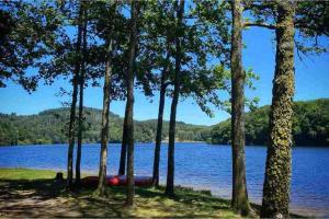 Campings Lotus Belle Tipi at Le Ranch Camping et Glamping : photos des chambres