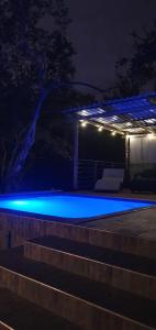 Woodlands on Korhaan 2926