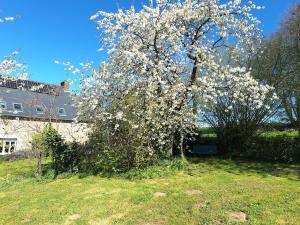 Maisons de vacances Au Lutin Pomme - Maison de vacances Bretagne : photos des chambres