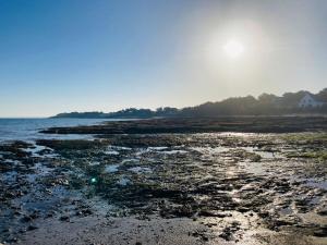 Maisons de vacances PIRIAC, Acces direct plage, 12 couchages : photos des chambres