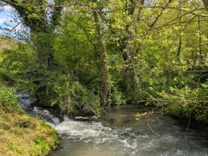 Maisons de vacances Maison au bord d'un ruisseau : photos des chambres