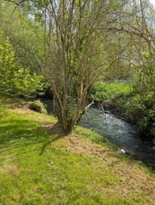 Maison au bord dun ruisseau