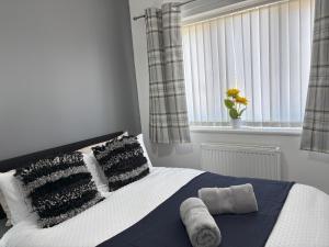 Sunderland City Delight free parking