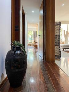 Luxury Residence in The Chava