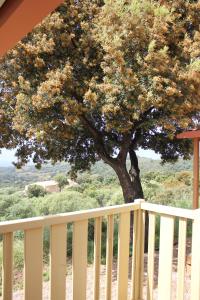 Les Hauts de Torraccia