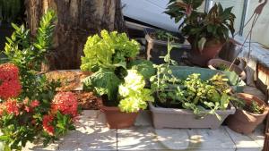 Ampla casa 03 suítes COP 30 no centro de Belem