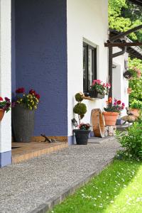 Ferienwohnung am Seebach´l