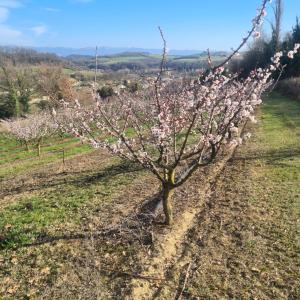 B&B / Chambres d'hotes La parenthese des collines : photos des chambres