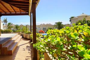 El Sueño de Los Abalos