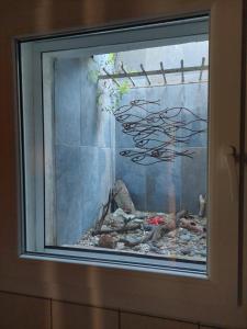 Appartements A la devino : photos des chambres