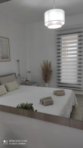 Madera Blanca - Casa vacanze Sardegna