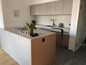 Casa Riva, grosse, neu ausgebauteWohnung in Laax