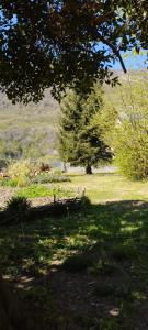 Appartements Quiet apartment between sky and mountains : photos des chambres