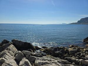 Chris House Mondello