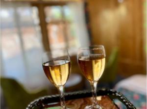 Appollo 11 luxury houseboat