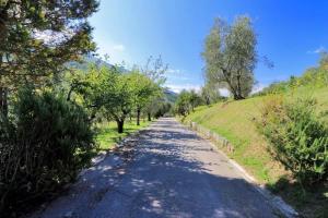 Il Gallo d Oro - Scoiattolo