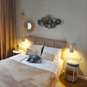 BOOGIE Home Papillon 17