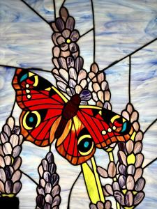 BOOGIE Home Papillon 17