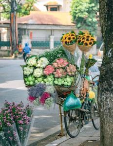 Northern Vietnam style