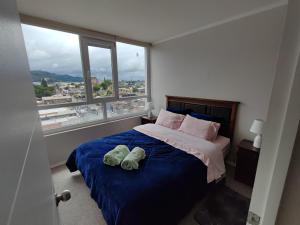 Acogedor departamento en Temuco