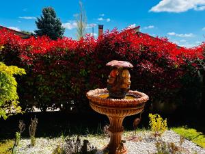 El Encanto de las Navas