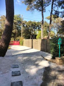 Maison à 50 M de la plage sous les pins