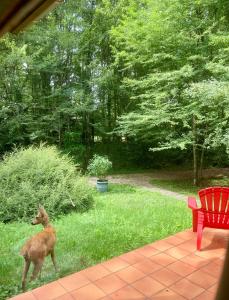 Maisons de vacances Holy Wood : photos des chambres