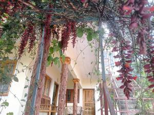 Munnar Adhi cottage in Chinnakanal