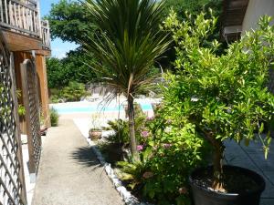 Villages vacances Village Club Dunea : photos des chambres