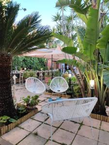 Hibiscus comfort stay img26