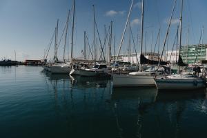 Hibiscus comfort stay img30