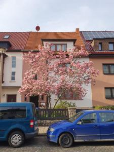 Ferienwohnung Thomas Szramek