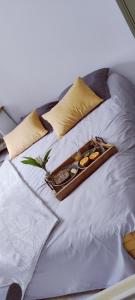 Studio confort montagne