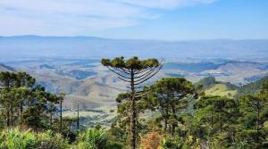 SITIO em Serra da Mantiqueira