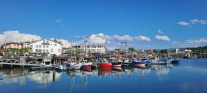 Appartements Cosy : photos des chambres