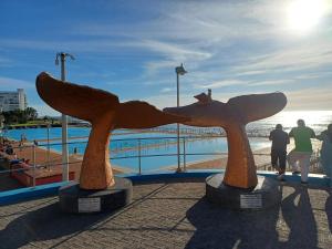 QUEENS BEACH STUDiO HALAAL