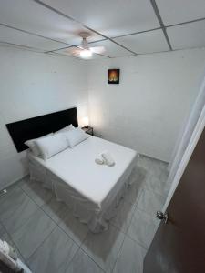 Luxury Hostel Teresita