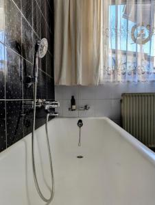 Apartma Rustika
