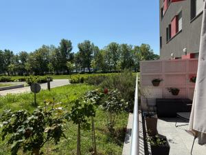 Lake Garden - Cozy Two-Bedroom Apartment with flexible Check-In, Terrace, and Netflix