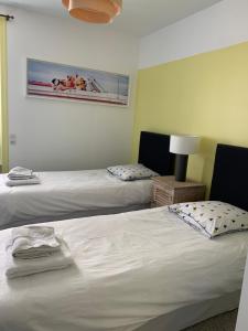 Appartement hyper centre avec jardin