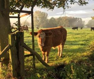 St Catherines Cottage The Old Schoolhouse