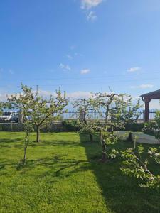 Villa Desanka Apartments and Studios