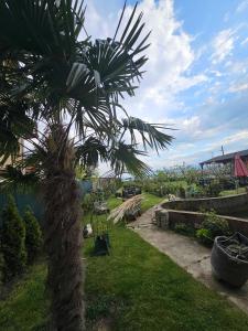 Villa Desanka Apartments and Studios