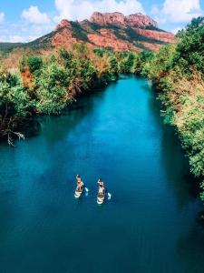 Appartements La Bastide Saint Pierre T2 - Jardin : photos des chambres