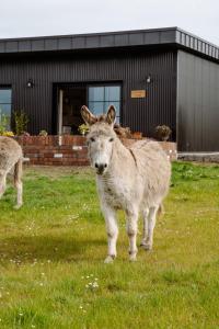 Tackle Lodge at Angliham Estate